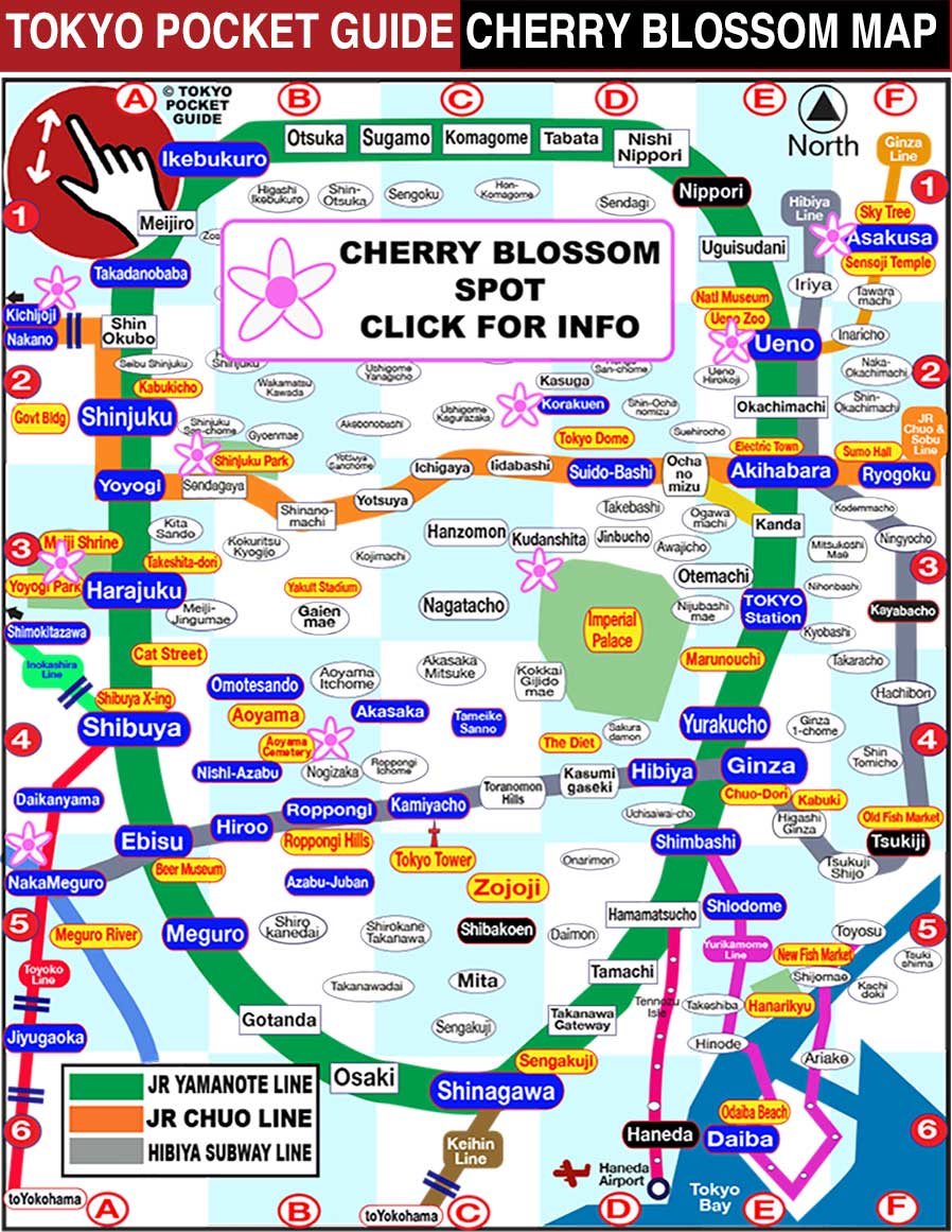 TPG.cherry.blossom.map.web 